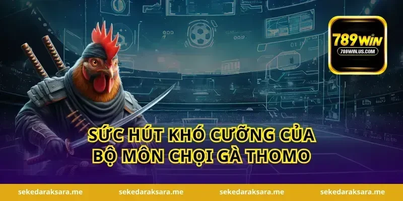 Sức hút khó cưỡng của bộ môn chọi gà Thomo