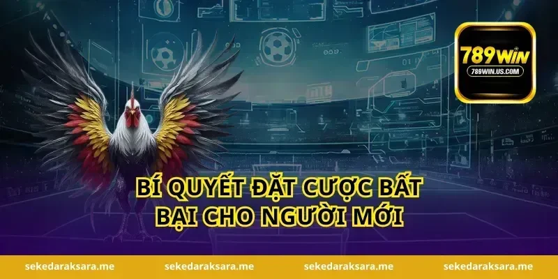 Bí quyết đặt cược bất bại cho người mới