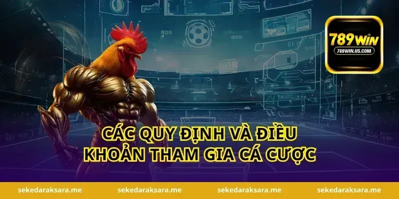 Các quy định và điều khoản tham gia cá cược