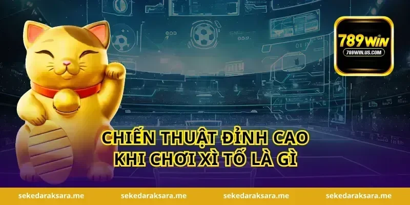 Chiến thuật đỉnh cao khi chơi xì tố là gì